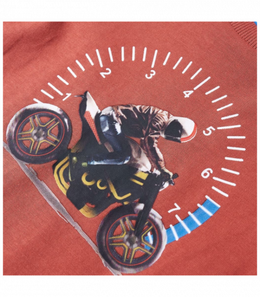 Kids' T-shirt with Long Sleeves Henna 104