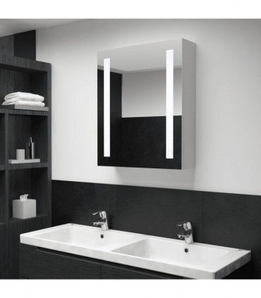 LED Bathroom Mirror Cabinet 50x13x70 cm