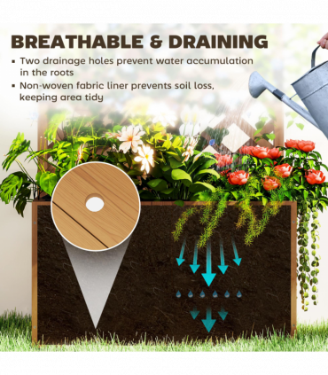 Papaver orientale  'Royal Wedding' | Oriental Poppy 9cm/2L