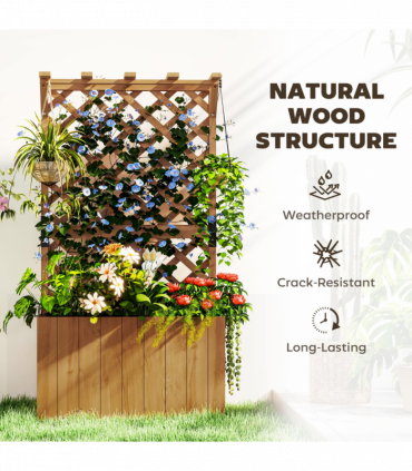 Papaver orientale  'Royal Wedding' | Oriental Poppy 9cm/2L