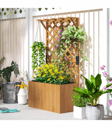 Papaver orientale  'Royal Wedding' | Oriental Poppy 9cm/2L