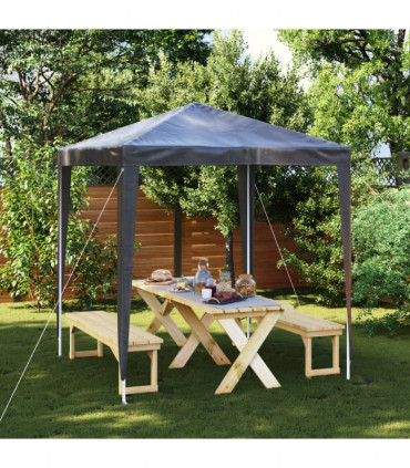 vidaXL Professional Party Tent 2x2 m Anthracite