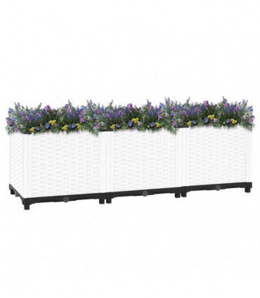 Raised Bed 120x40x38 cm Polypropylene