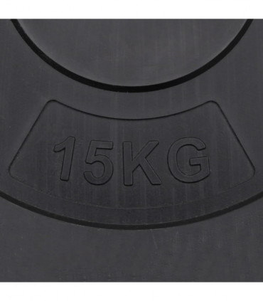 Weight Plates 2 pcs 30 kg Cement