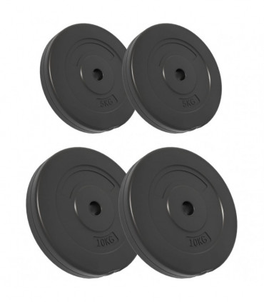 Weight Plates 4 pcs 30 kg Cement