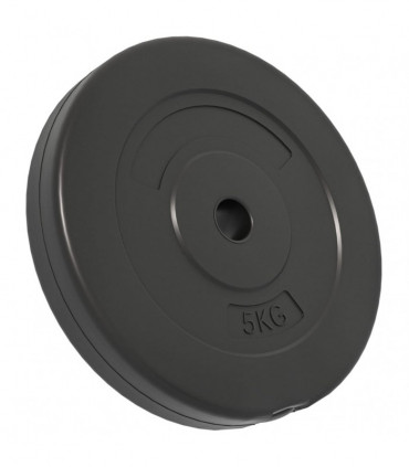 Weight Plates 4 pcs 30 kg Cement