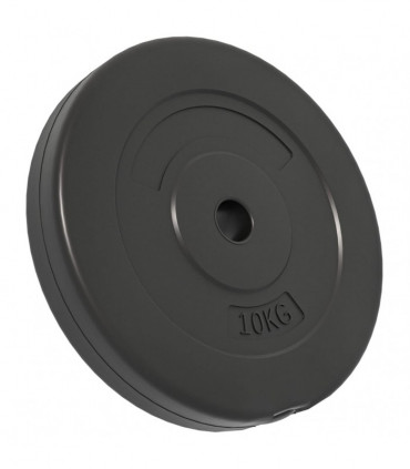 Weight Plates 4 pcs 30 kg Cement