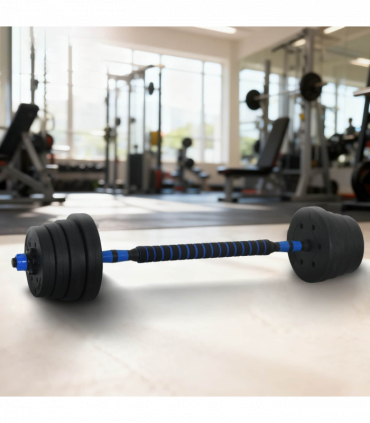 vidaXL 2-in-1 Dumbbell Set Black and Blue 121 x 19.5 x 19.5 cm