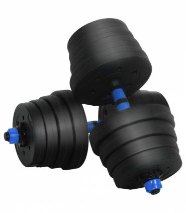 vidaXL 2-in-1 Dumbbell Set Black and Blue 121 x 19.5 x 19.5 cm