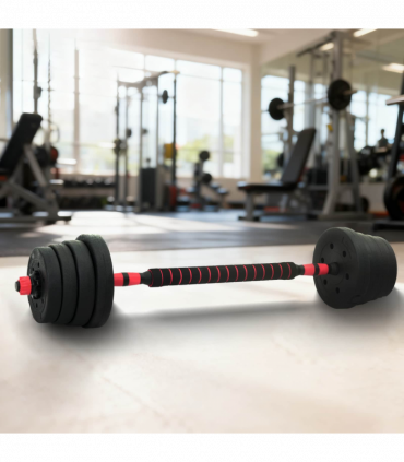vidaXL 2-in-1 Dumbbell Set Black and Red 121 x 19.5 x 19.5 cm