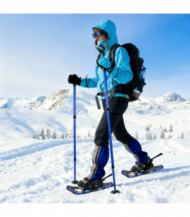 vidaXL 3 in 1 Snowshoes with Hiking Poles Blue 21 inches