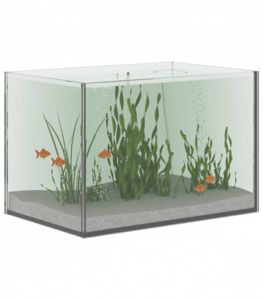 vidaXL Aquarium with Storage Transparent 30 x 20 x 20 cm Glass