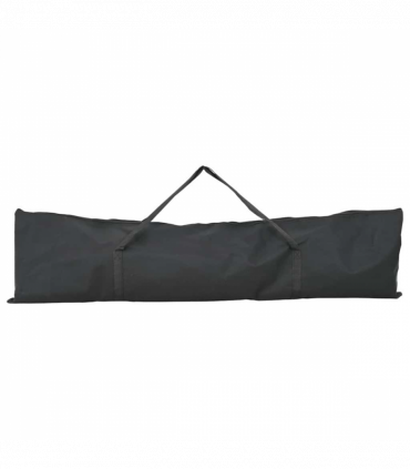 vidaXL Baseball & Softball Black 250 x 106 x 209 cm Polyester