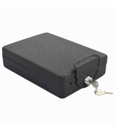 vidaXL Car Safe with Lock Black 21.8 x 16 x 7 cm Steel