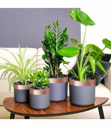 vidaXL Double Sided Copper Tape 6 pcs 6 pcs Copper 2000 x 5 cm