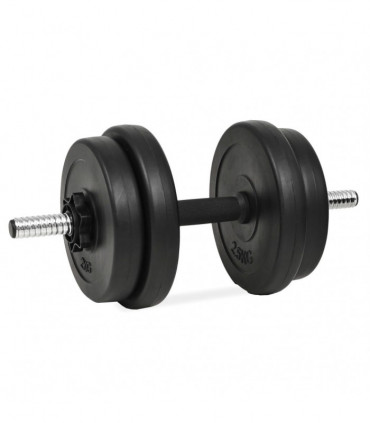 vidaXL Dumbbell with Plates 40 kg