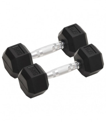 vidaXL Dumbbells 2 pcs 10 kg Cast Iron