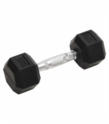 vidaXL Dumbbells 2 pcs 10 kg Cast Iron