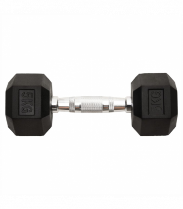 vidaXL Dumbbells 2 pcs 10 kg Cast Iron