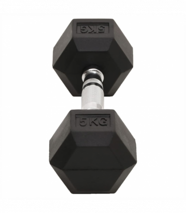 vidaXL Dumbbells 2 pcs 10 kg Cast Iron