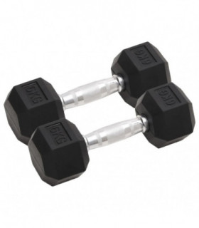 vidaXL Dumbbells 2 pcs 12 kg Cast Iron