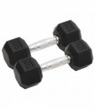 vidaXL Dumbbells 2 pcs 12 kg Cast Iron