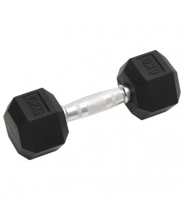 vidaXL Dumbbells 2 pcs 12 kg Cast Iron
