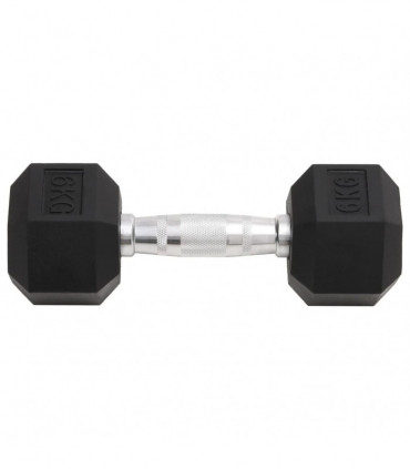 vidaXL Dumbbells 2 pcs 12 kg Cast Iron