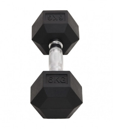 vidaXL Dumbbells 2 pcs 12 kg Cast Iron