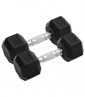 vidaXL Dumbbells 2 pcs 16 kg Cast Iron