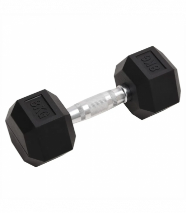 vidaXL Dumbbells 2 pcs 16 kg Cast Iron