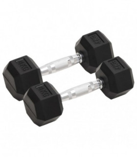 vidaXL Dumbbells 2 pcs 8 kg Cast Iron