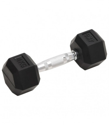 vidaXL Dumbbells 2 pcs 8 kg Cast Iron