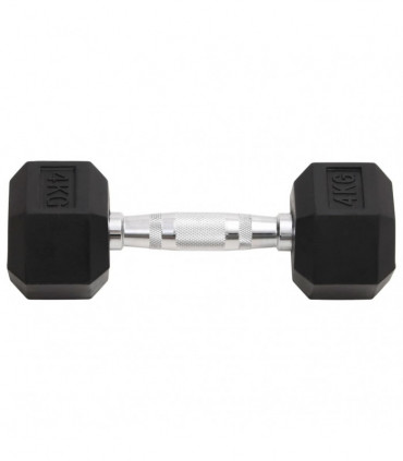 vidaXL Dumbbells 2 pcs 8 kg Cast Iron