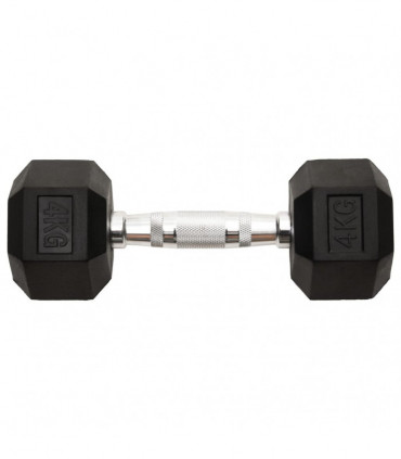 vidaXL Dumbbells 2 pcs 8 kg Cast Iron
