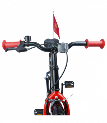 vidaXL Kids Bike 20'' for 6-11 Years Old Black