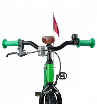 vidaXL Kids Bike 20'' for 6-11 Years Old Green