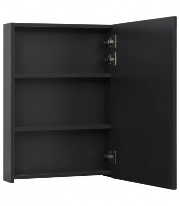 vidaXL LED Bathroom Mirror Cabinet 50x13x70 cm