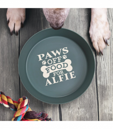 Pre-personalised Recycled Dog Bowl - Alfie
