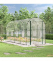 Greenhouse Transparent 161x398x188 cm PVC&Powder-coated Steel