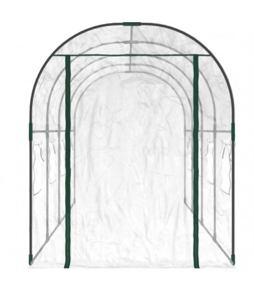 Greenhouse Transparent 161x398x188 cm PVC&Powder-coated Steel