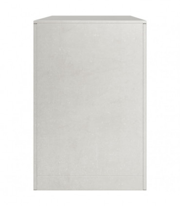 vidaXL Firewood Rack 100x40x60 cm Stainless Steel