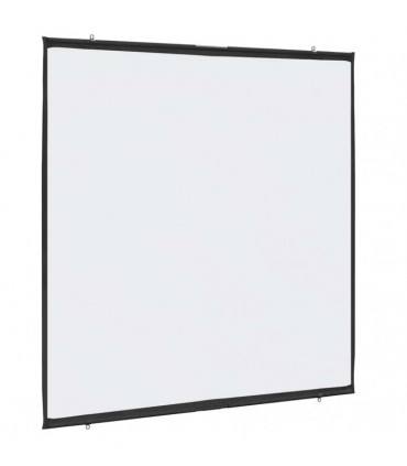 vidaXL Projection Screen Wall-Hanging 81 Inch 1:1
