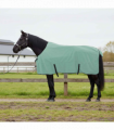 vidaXL Horse Blanket Special Green Polyester