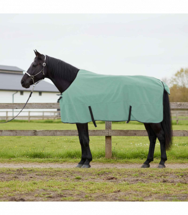 vidaXL Horse Blanket Special Green Polyester