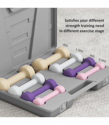 HOMCOM 10kg Dumbbell Weights Set with Carry Case, Pink, Purple, Grey, Brown