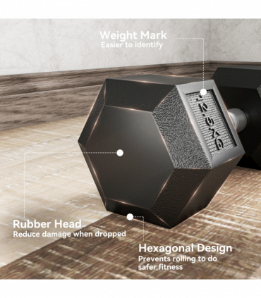 HOMCOM 25KG Rubber Hex Dumbbell Portable Hand Weights for Home Gym