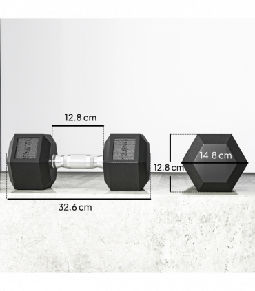 HOMCOM 25KG Rubber Hex Dumbbell Portable Hand Weights for Home Gym