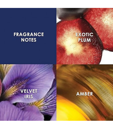 Britney Spears Midnight Fantasy Eau De Parfum Spray 50ml