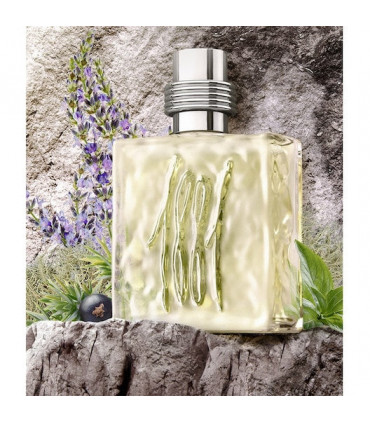 Cerruti 1881 Pour Homme Eau De Toilette Spray 25ml